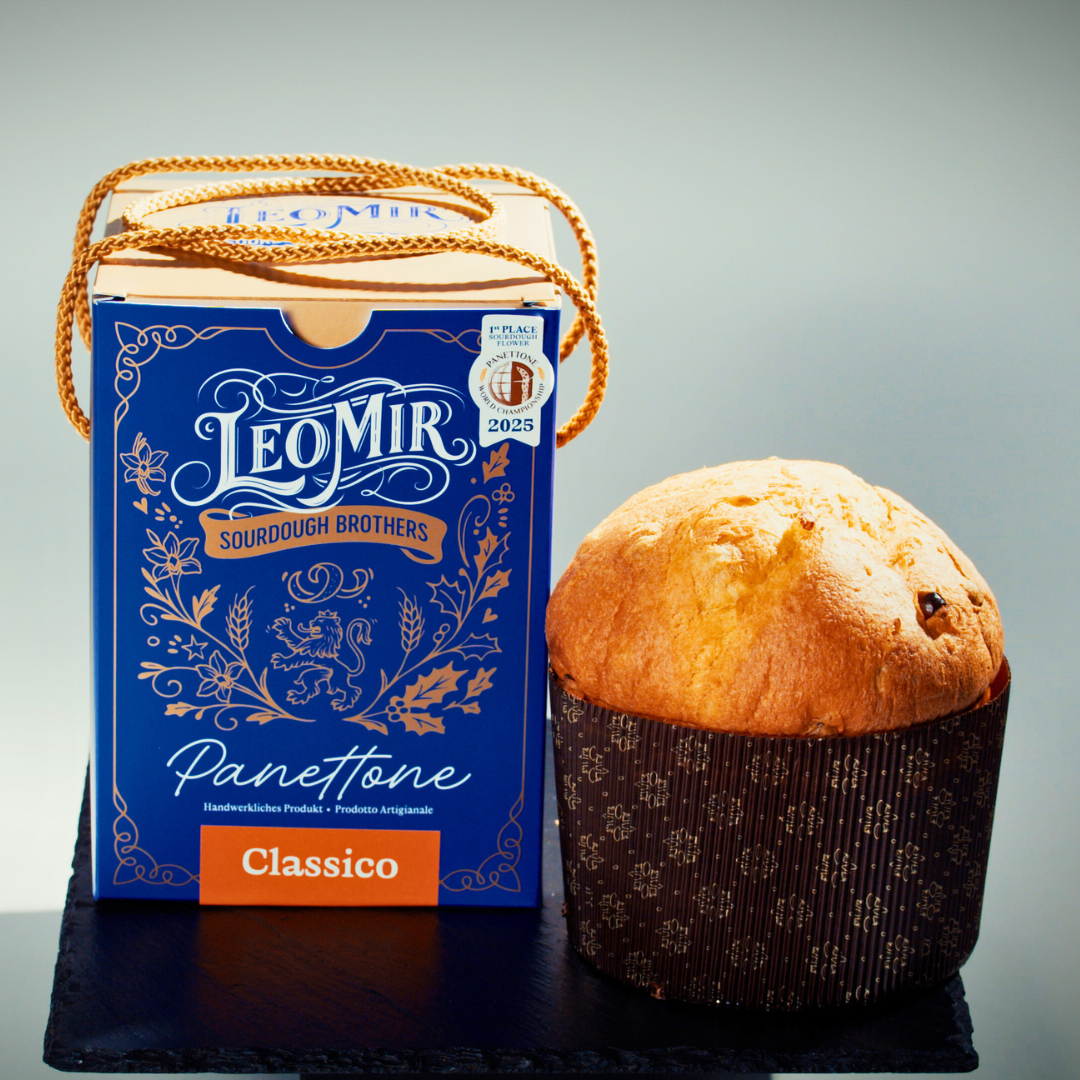 Classic Panettone
