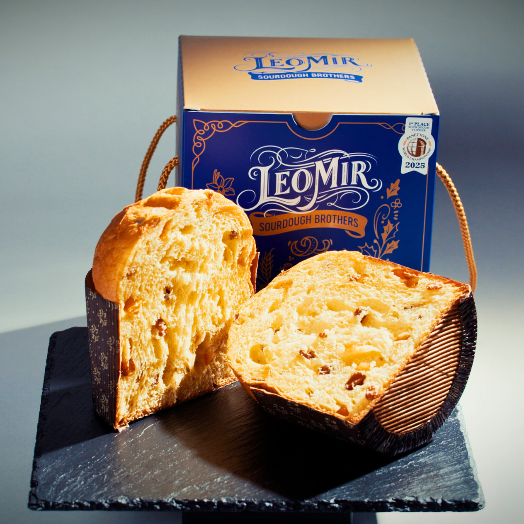 Classic Panettone