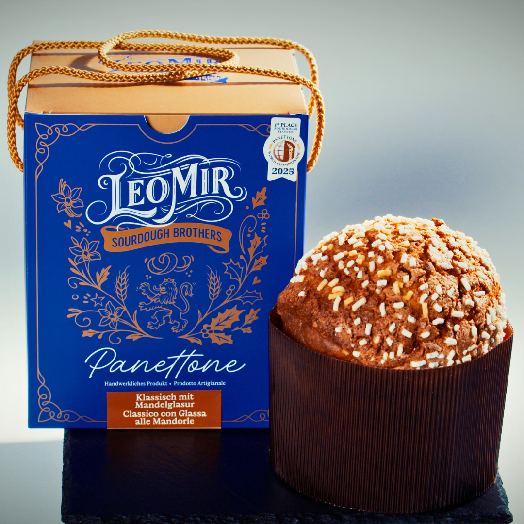 Classic Panettone